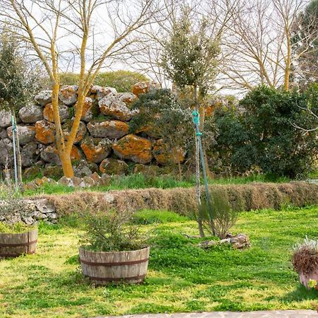 Agriturismo Nuragh'Elighe Sindia Ngoại thất bức ảnh