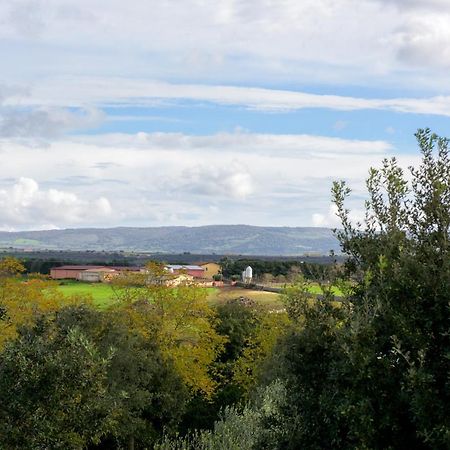 Agriturismo Nuragh'Elighe Sindia Ngoại thất bức ảnh