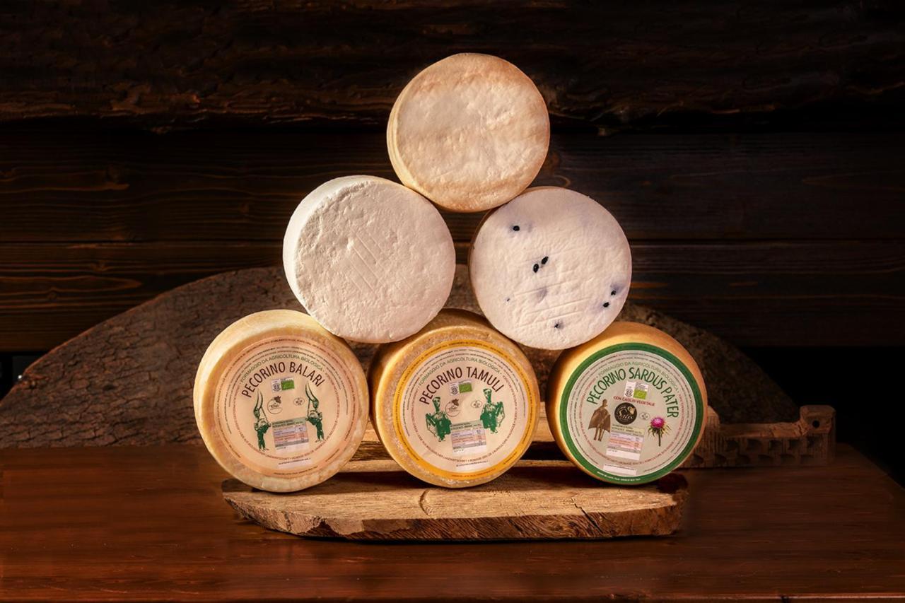 Agriturismo Nuragh'Elighe Sindia Ngoại thất bức ảnh