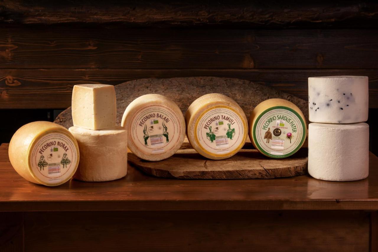 Agriturismo Nuragh'Elighe Sindia Ngoại thất bức ảnh