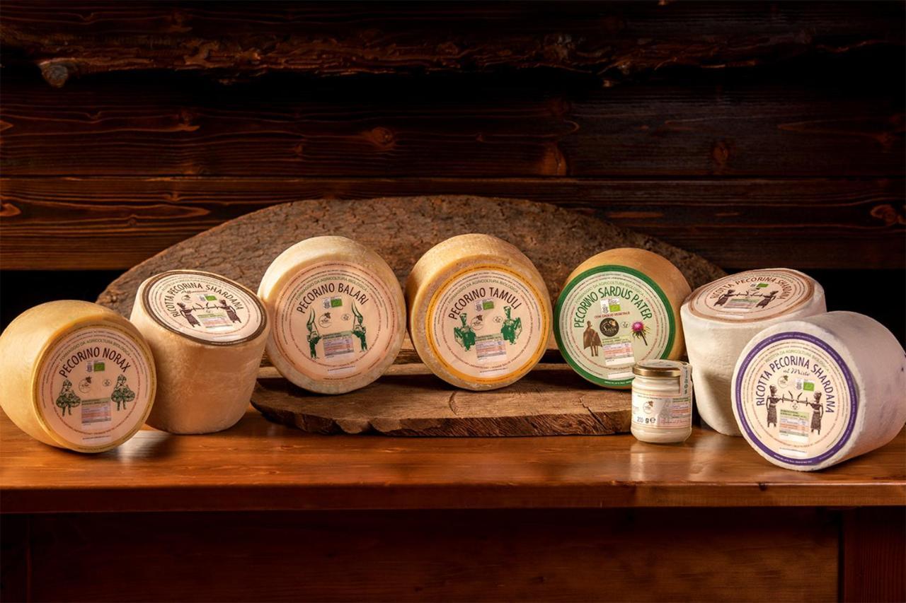 Agriturismo Nuragh'Elighe Sindia Ngoại thất bức ảnh