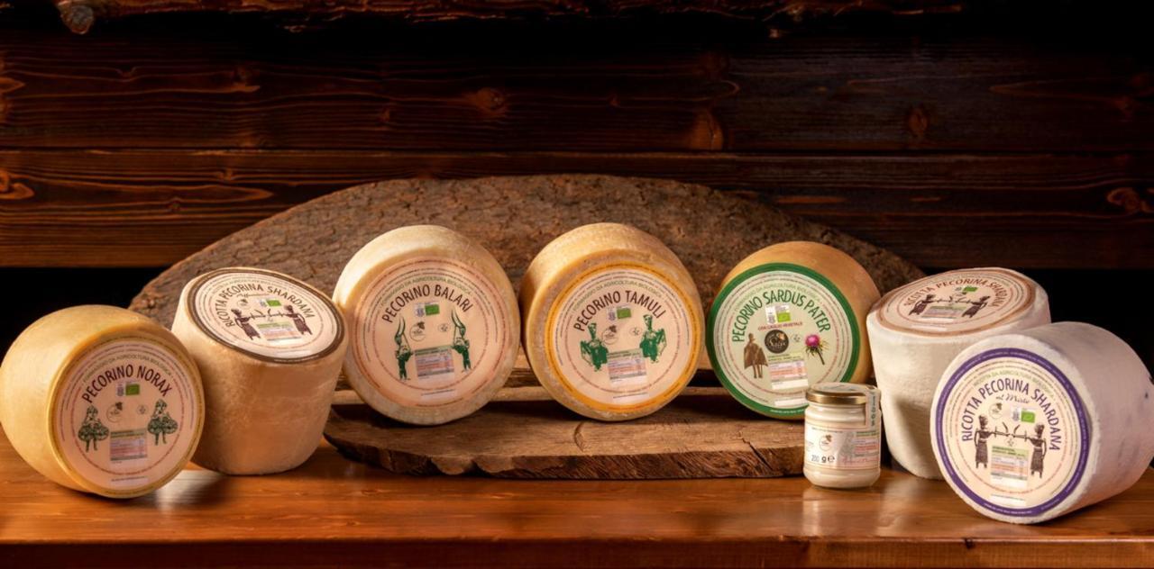 Agriturismo Nuragh'Elighe Sindia Ngoại thất bức ảnh