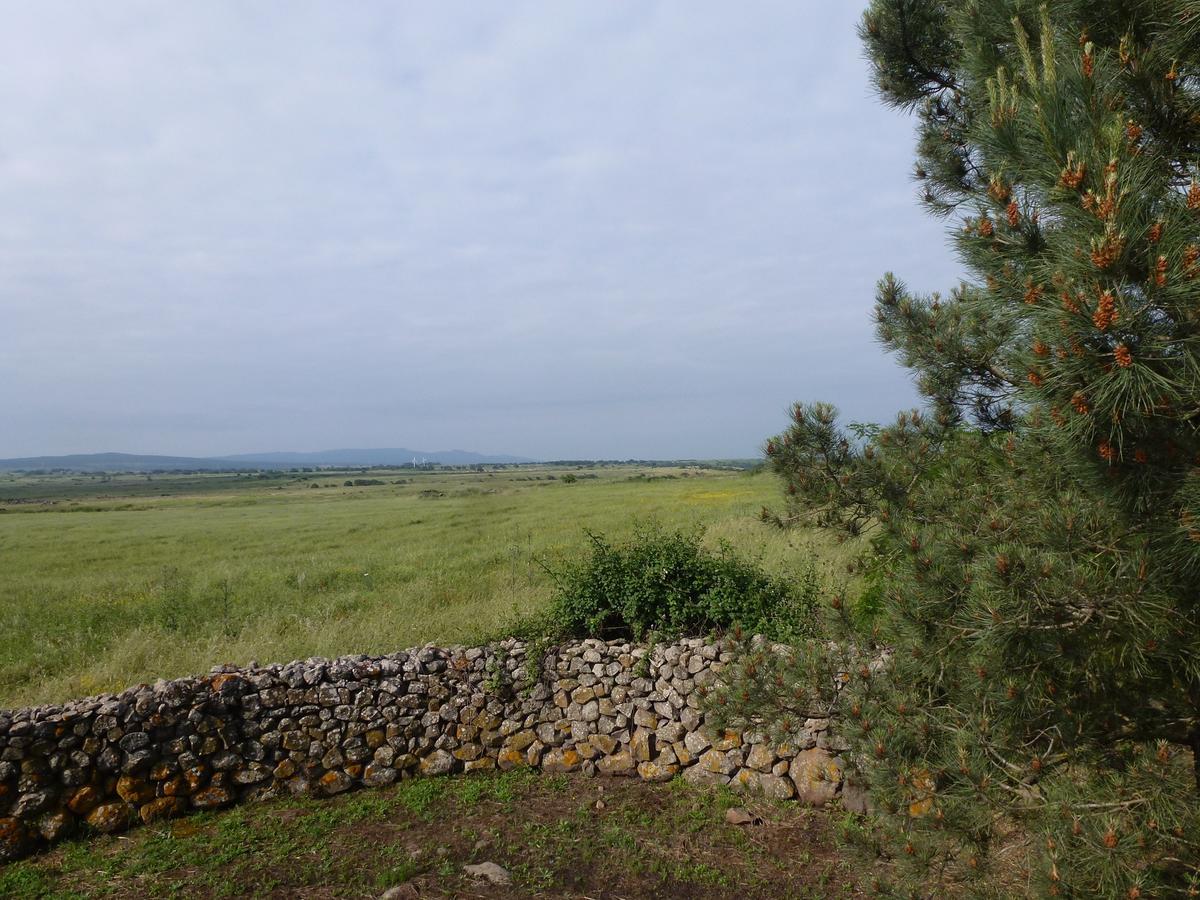 Agriturismo Nuragh'Elighe Sindia Ngoại thất bức ảnh