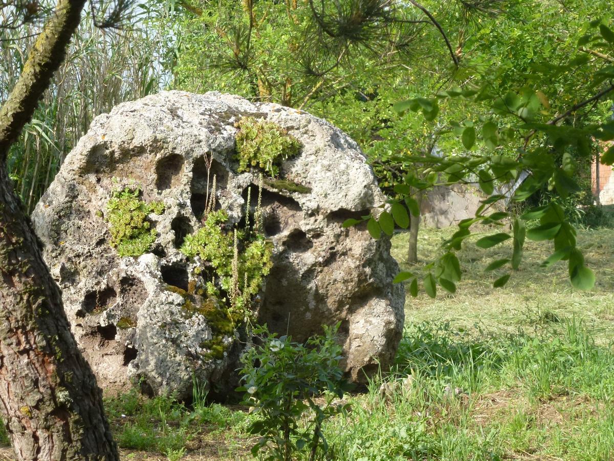 Agriturismo Nuragh'Elighe Sindia Ngoại thất bức ảnh