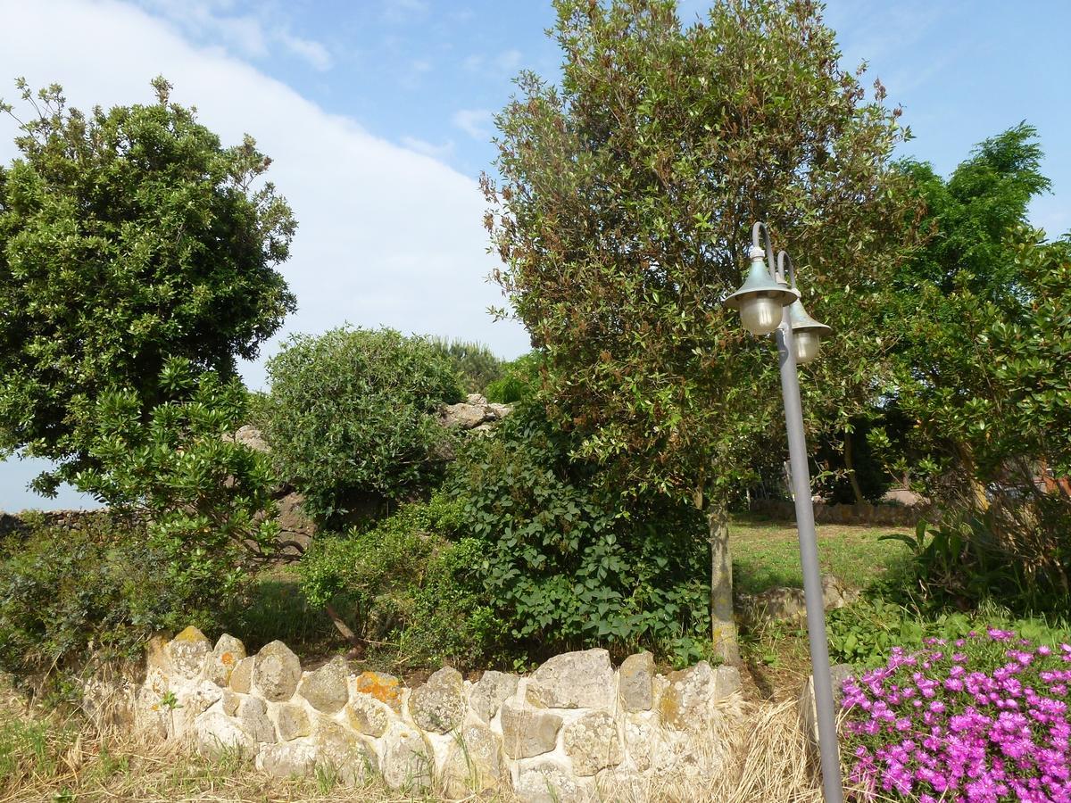 Agriturismo Nuragh'Elighe Sindia Ngoại thất bức ảnh