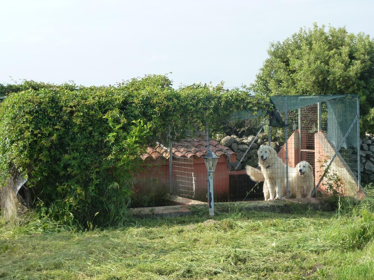 Agriturismo Nuragh'Elighe Sindia Ngoại thất bức ảnh